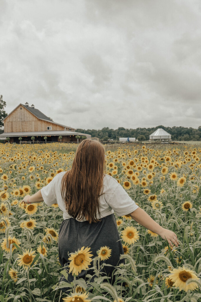 A woman walking through a field of sunflowers