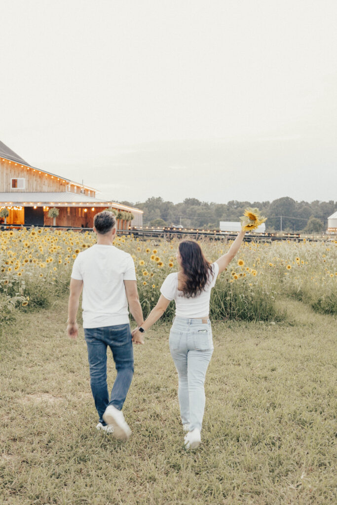 A couple holding hands and walking in a field of sunflowers