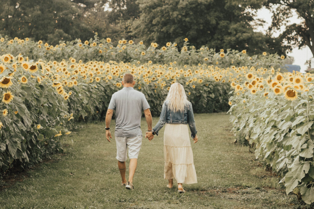 A couple holding hands walking through a sunflower field