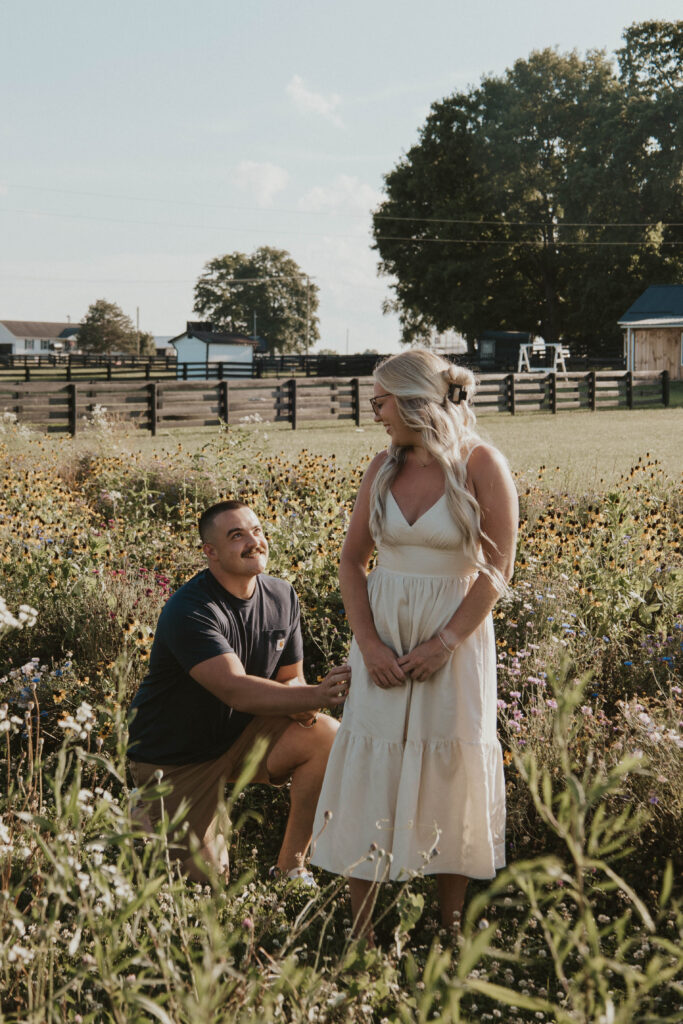 A man proposing to his partner in a wildflower field, with golden hour light in Newark, Ohio.