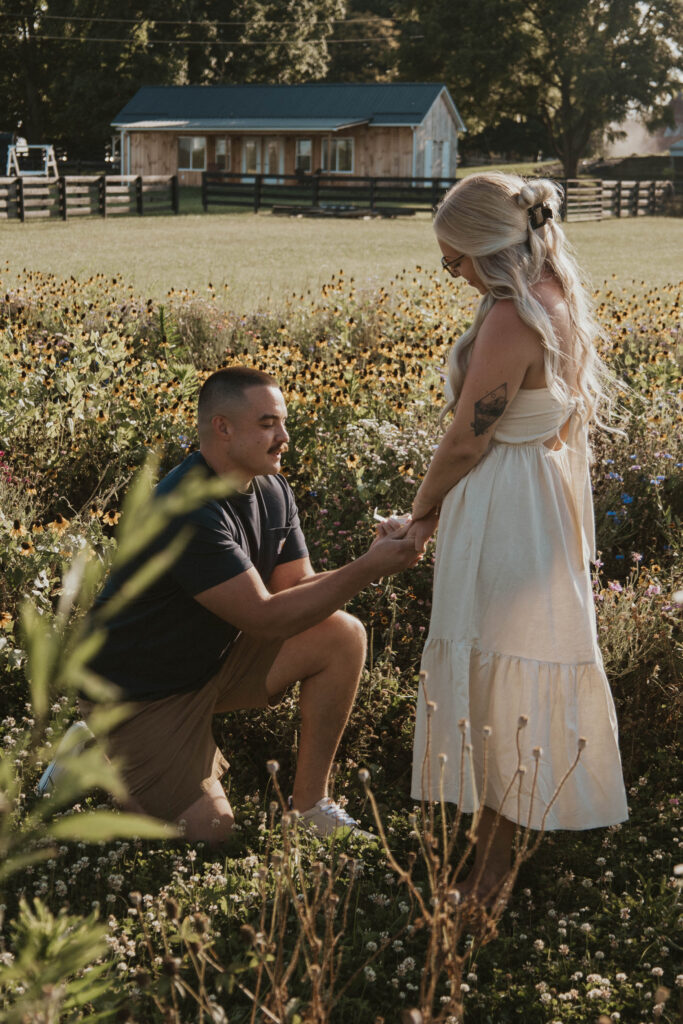 A groom on one knee proposing to his bride-to-be in the wildflower fields of 22 Acres Farm.