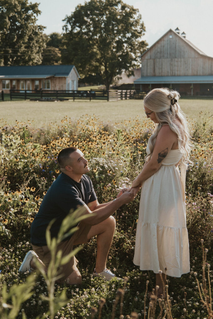 A romantic proposal in a Central Ohio wildflower field, with petals floating in the breeze.